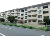 東京メトロ有楽町線 地下鉄成増駅 徒歩3分 5階建 築40年