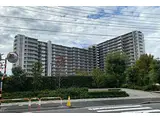 東京メトロ南北線 王子神谷駅 徒歩15分 15階建 築7年