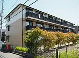 JR東海道・山陽本線 野洲駅 徒歩8分 3階建 築24年