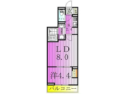 レクシア西新井(1LDK/1階)の間取り写真