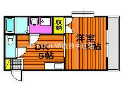 JR山陽本線 中庄駅 徒歩25分 2階建 築30年(1DK/2階)の間取り写真
