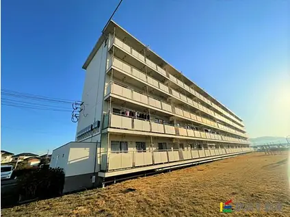 JR鹿児島本線 瀬高駅 徒歩12分 5階建 築44年(3DK/4階)の外観写真