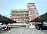メゾン音野