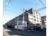京阪本線 藤森駅 徒歩10分 5階建 築48年