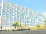 JR湖西線 大津京駅 徒歩6分 15階建 築6年
