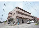 マルベリー桑原