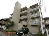 キャピタルサルート