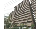JR阪和線 和泉府中駅 徒歩13分 11階建 築35年