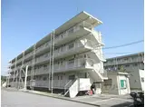 JR北陸本線 田村駅 徒歩32分 4階建 築60年