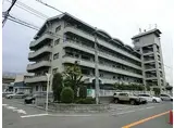 JR阪和線 北信太駅 徒歩8分 6階建 築31年