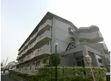 京阪本線 萱島駅 徒歩15分 4階建 築30年