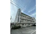 ピュア・エレガンス
