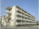 JR北陸本線 田村駅 徒歩32分 4階建 築56年