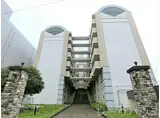 JR鹿児島本線 箱崎駅 徒歩15分 7階建 築35年