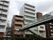 JR東海道・山陽本線 摂津本山駅 徒歩10分  築5年(1LDK/8階)