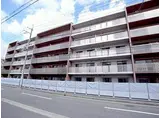 阪神本線 甲子園駅 徒歩10分 5階建 築15年