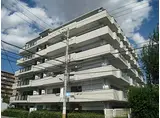 JR東海道・山陽本線 茨木駅 徒歩10分 7階建 築31年