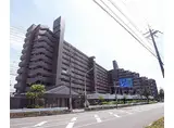 京阪本線 淀駅 徒歩18分 11階建 築34年
