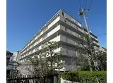 京阪本線 伏見桃山駅 徒歩3分 8階建 築40年