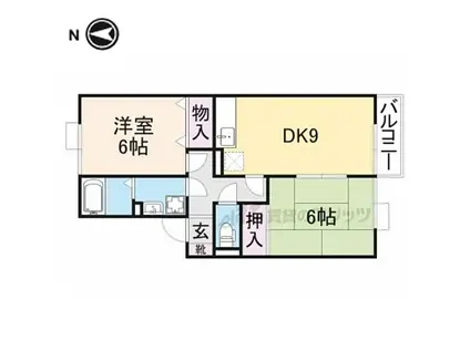 コスモスA棟(2LDK/2階)の間取り写真