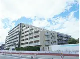 JR中央線 豊田駅 徒歩8分 8階建 築11年