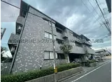 セルバ山本II