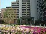 スターコート豊洲