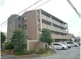 JR福知山線 塚口駅(ＪＲ) 徒歩13分 4階建 築26年