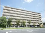 阪急神戸本線 園田駅 徒歩15分 7階建 築30年