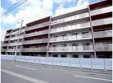 甲子園三番町ハイツ