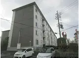 JR片町線(学研都市線) 藤阪駅 徒歩12分 5階建 築50年