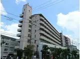 近鉄奈良線 富雄駅 徒歩3分 8階建 築36年