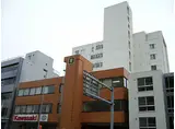 札幌市営東豊線 月寒中央駅 徒歩6分 9階建 築37年