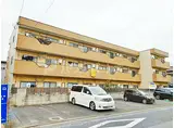 東京都葛飾区 3階建 築38年