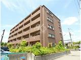 兵庫県神戸市西区 5階建 築24年