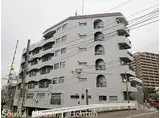 長崎電気軌道1系統 若葉町駅 徒歩2分 8階建 築46年
