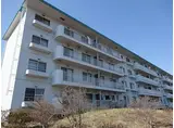 JR函館本線 五稜郭駅 徒歩31分 4階建 築41年