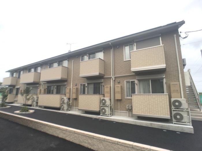 ROYAL WIT B