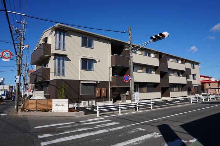 タートルエイト
