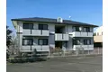 ハイカムール旭