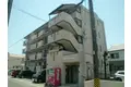 グレース喜泉