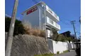 シャンドールホワイト中駒