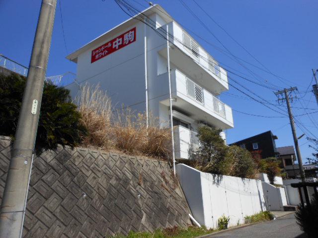 シャンドールホワイト中駒