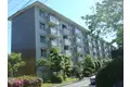 藤の木団地8号棟