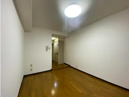 大伸参番館 他国高齢(ワンルーム/1階)のその他写真