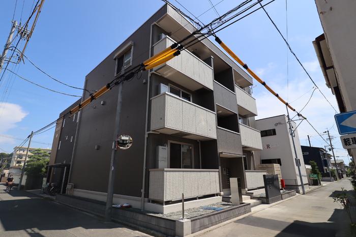 クリプトメリア稲川