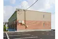 レオネクストアリエッタ