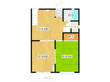 パラグレイスⅢ(2DK/1階)の間取り写真