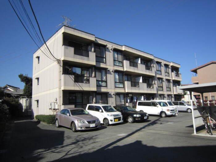 ライジングサン関野