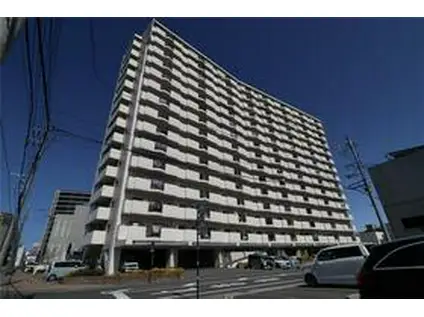 ライフインサーラ(2LDK/4階)の外観写真